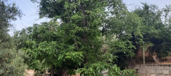 3 bedrooms House in Jaen, Spain No. 150522 5