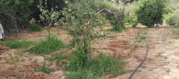 3 bedrooms House in Jaen, Spain No. 150522 3