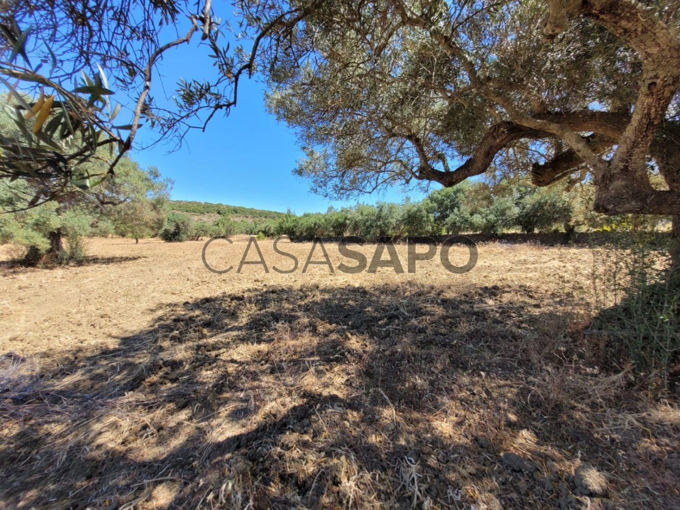  Land in Sao Bras de Alportel, Portugal No. 211824