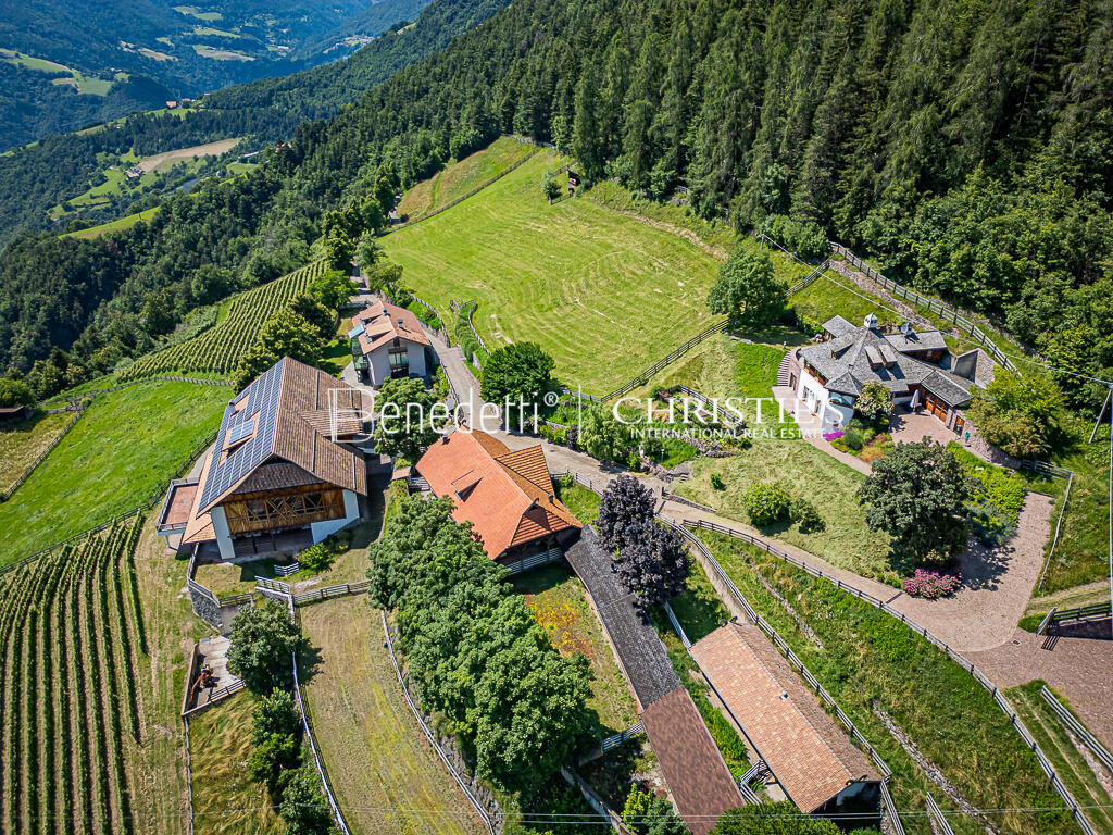 8 bedrooms Castles in Trentino-Alto Adige, Italy No. 354900
