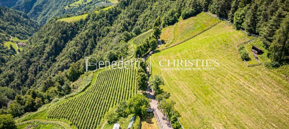 8 bedrooms Castles in Trentino-Alto Adige, Italy No. 354900 12