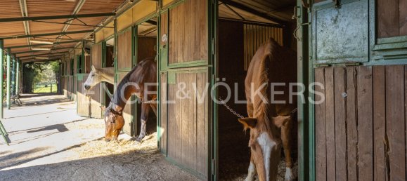 7 bedrooms House in Castelnuovo Berardenga, Italy No. 102239 6