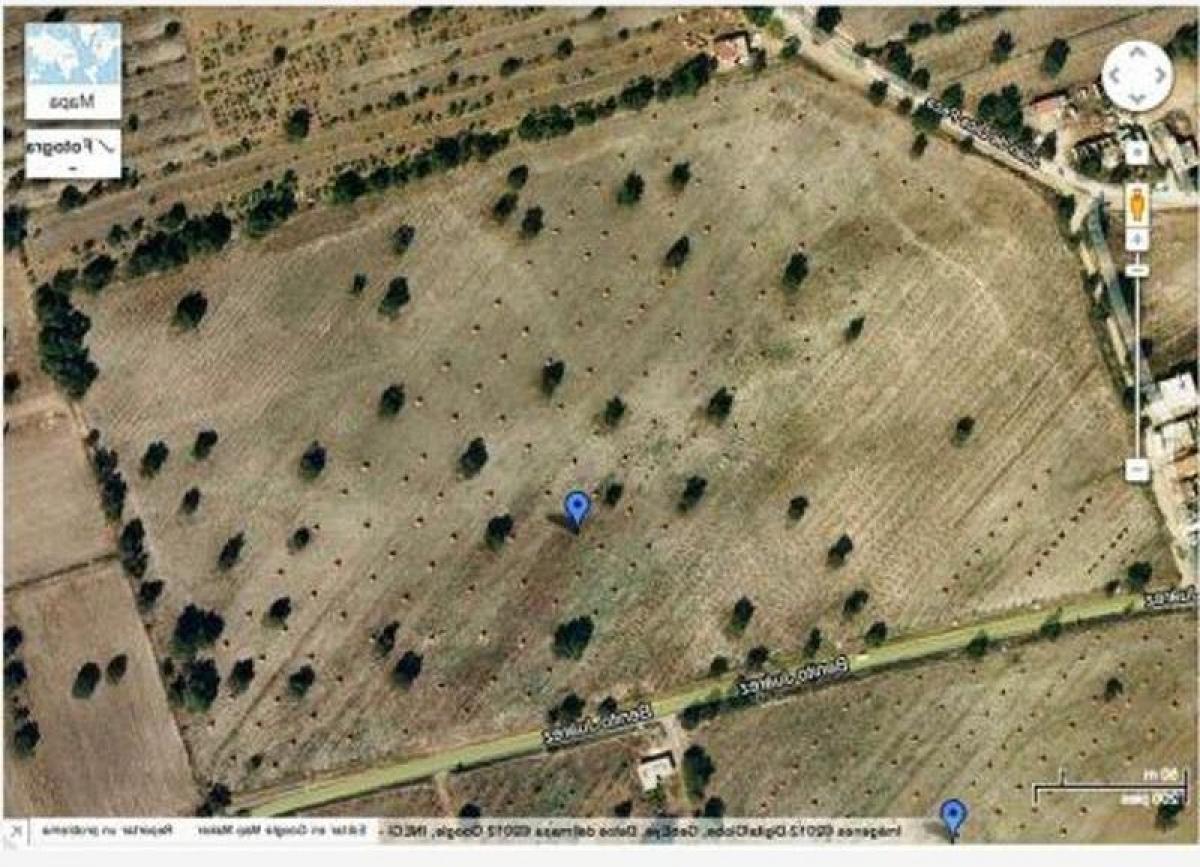  Land in Tecamac de Felipe Villanueva, Mexico No. 203721