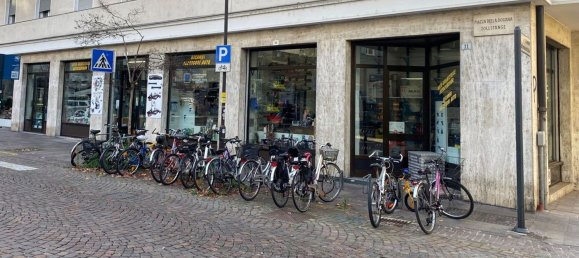 Gewerbliche Immobilie in Trentino-Alto Adige, Italy 280m², Nr. 110916 3