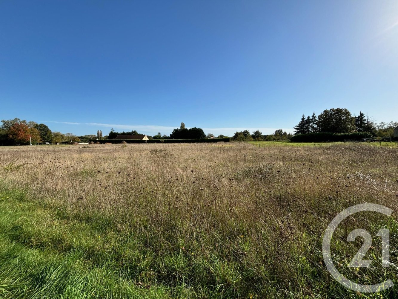  قطعة أرض في Chabris, France 1047متر مربع رقم 218819