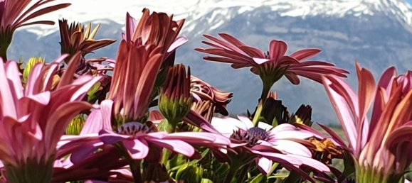 2 Schlafzimmer Villa in Heraklion, Greece, Nr. 110 20