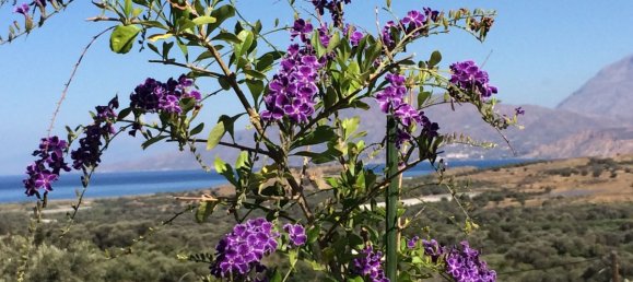 2 Schlafzimmer Villa in Heraklion, Greece, Nr. 110 26