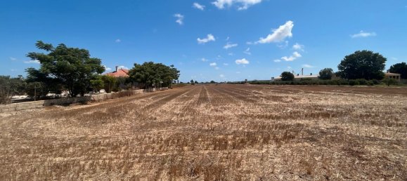 Дом с 3 спальнями в Долорес, Испания № 191334 12