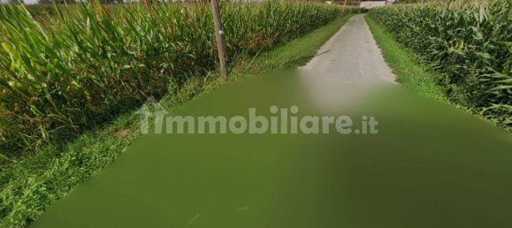 2 bedrooms Apartment in Barbariga, Italy No. 330990 10