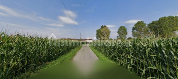 2 bedrooms Apartment in Barbariga, Italy No. 330990 2