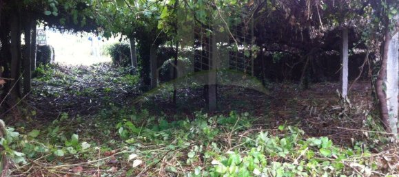 864m² Land in Caminha, Portugal No. 54313 7