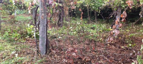 864m² Land in Caminha, Portugal No. 54313 6