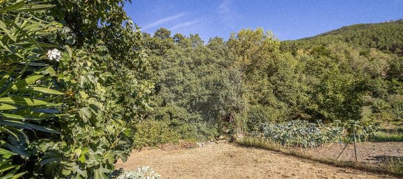 6 bedrooms House in Manteigas, Portugal No. 27462 35