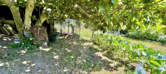 6 bedrooms House in Manteigas, Portugal No. 27462 37