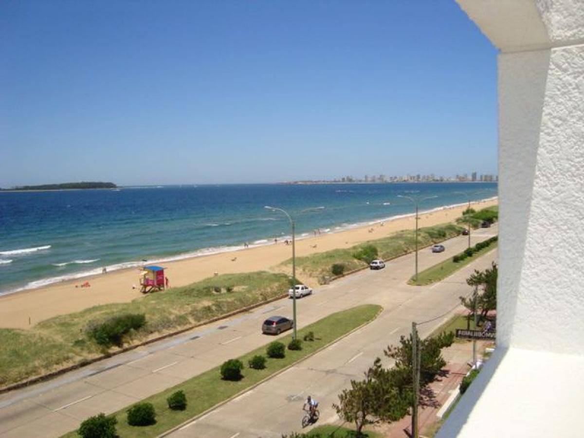 2 chambres Appartement à Maldonado, Uruguay No. 7177