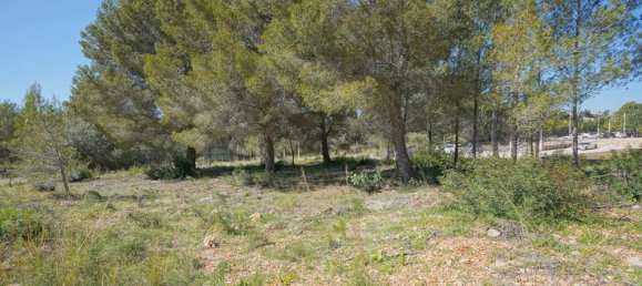  Land in Alicante, Spain No. 142891 2