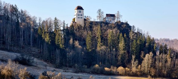 11-salle Villa à Tuttlingen, Germany No. 56348 6