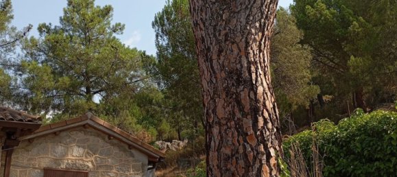 4 bedrooms House in Madrid, Spain No. 186510 29