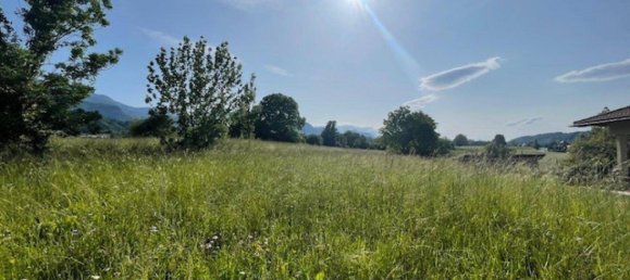 Terreno en Feistritz im Rosental, Austria 4932 m² No. 165961 4