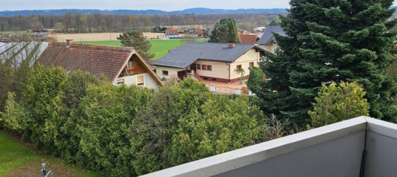 3 bedrooms Apartment in Puntigam, Austria No. 19699 8