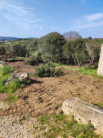  قطعة أرض في Arzachena, Italy 10000متر مربع رقم 288907