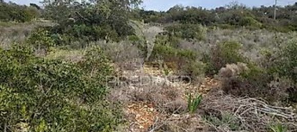 Terreno em Quelfes, Portugal 3120 m² N.º 32586 4