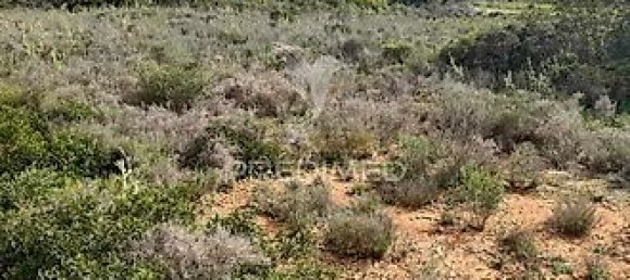 Terreno em Quelfes, Portugal 3120 m² N.º 32586 7