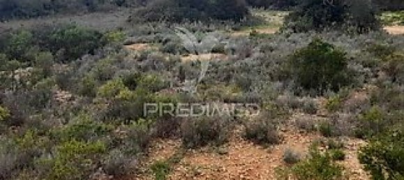 Terreno em Quelfes, Portugal 3120 m² N.º 32586 9