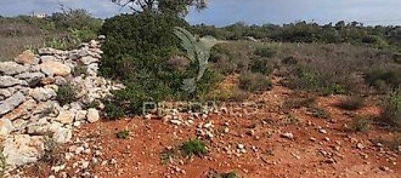 Terreno em Quelfes, Portugal 3120 m² N.º 32586 5