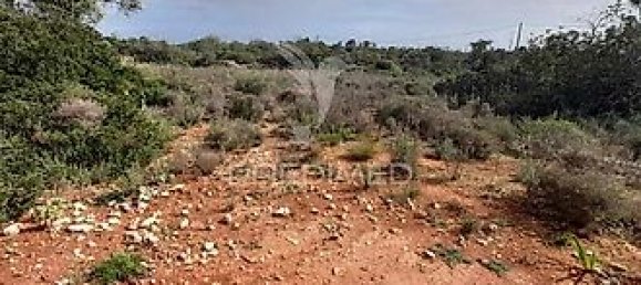 Terreno em Quelfes, Portugal 3120 m² N.º 32586 2