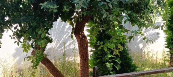 Дом с 13 спальнями в Calimera, Италия № 326057 37