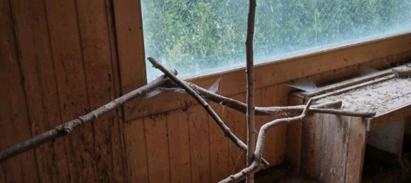 9 chambres Maison à Mecklenburgische Seenplatte, Germany No. 220548 9