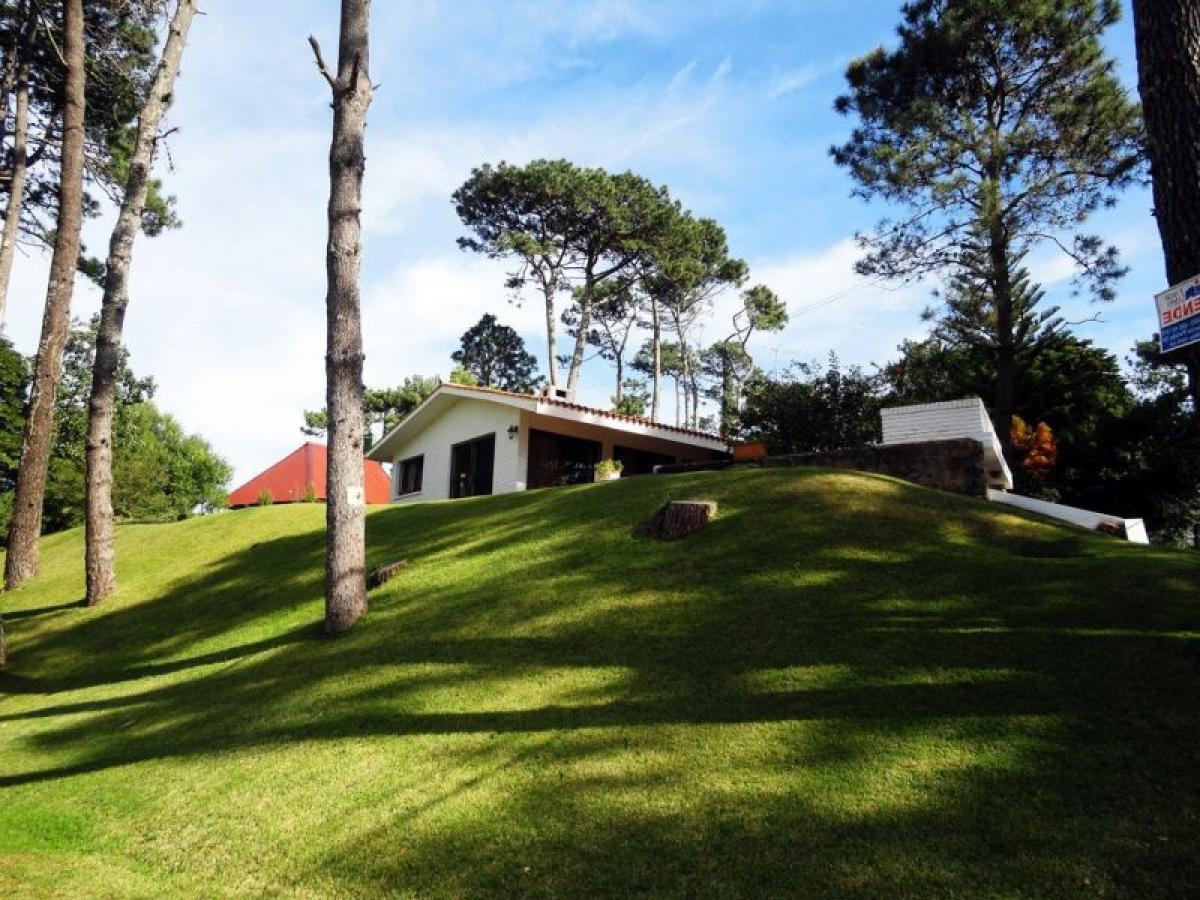 3 bedrooms House in Maldonado, Uruguay No. 3330