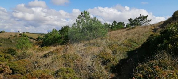 11562m² Land in Mafra, Portugal No. 58811 5