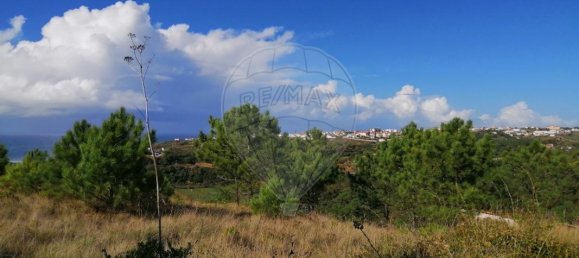 11562m² Land in Mafra, Portugal No. 58811 2