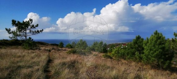 11562m² Land in Mafra, Portugal No. 58811 3