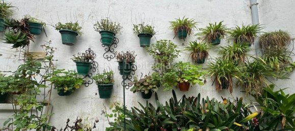 9 Schlafzimmer Haus in Cordoba, Spain, Nr. 84222 5