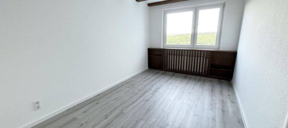 2 غرف نوم شقة في Enzkreis, Germany رقم 234067 10