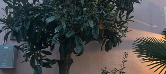 Apartamento T1 em Pinerolo, Italy N.º 56153 13