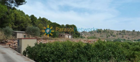 22000m² Land in Valencia, Spain No. 217293 4