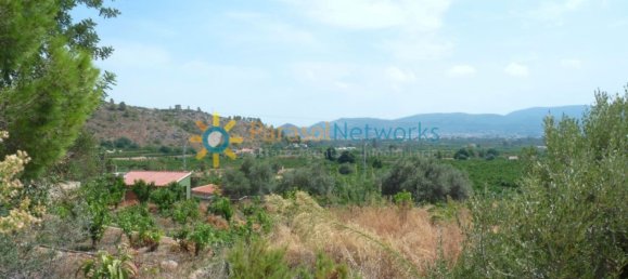 22000m² Land in Valencia, Spain No. 217293 9