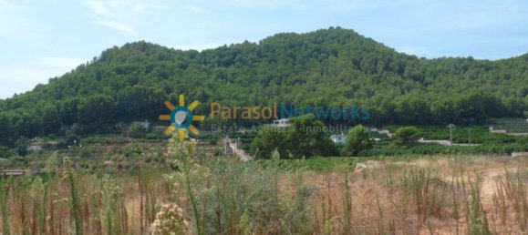 22000m² Land in Valencia, Spain No. 217293 12