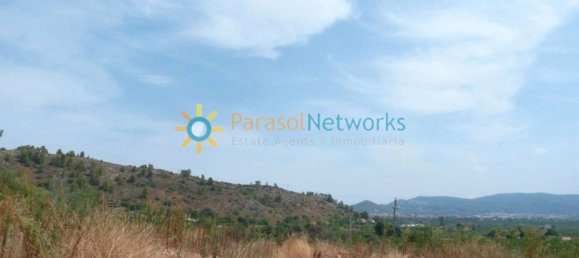 22000m² Land in Valencia, Spain No. 217293 17