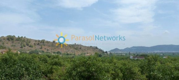 22000m² Land in Valencia, Spain No. 217293 18