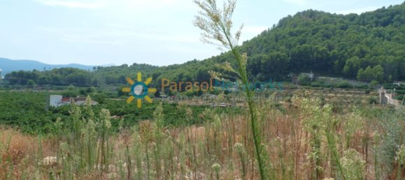 22000m² Land in Valencia, Spain No. 217293 11