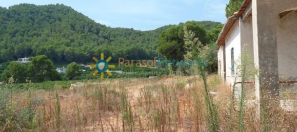 22000m² Land in Valencia, Spain No. 217293 3