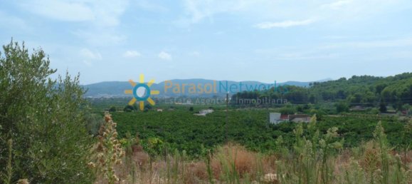 22000m² Land in Valencia, Spain No. 217293 10