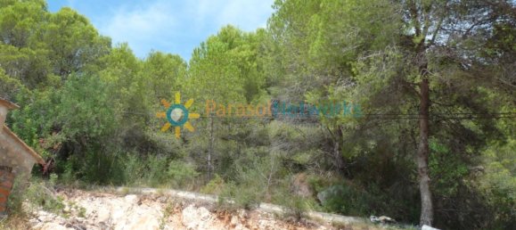 22000m² Land in Valencia, Spain No. 217293 6