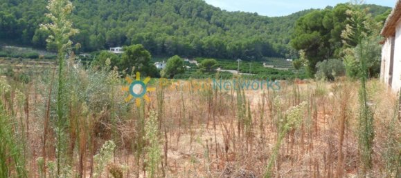 22000m² Land in Valencia, Spain No. 217293 13