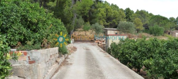 22000m² Land in Valencia, Spain No. 217293 5